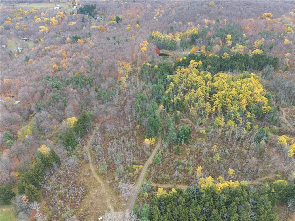 7753 Canadice Road Springwater, NY 14560 - Photo 36 of 44