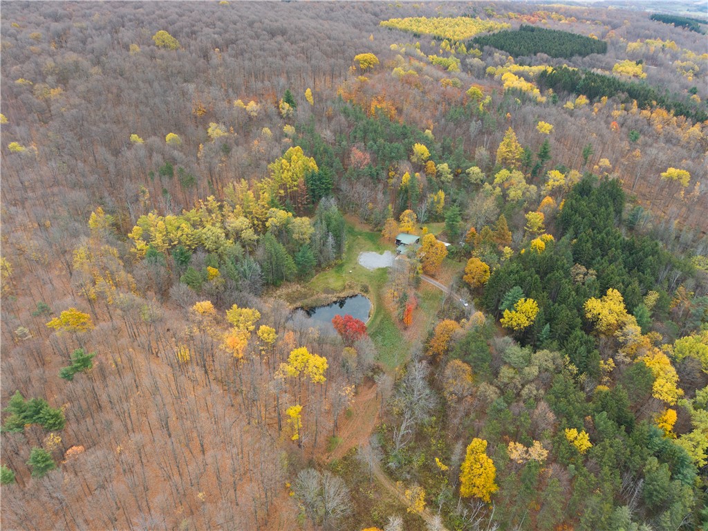 7753 Canadice Road Springwater, NY 14560 - Photo 38 of 44