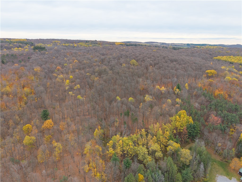 7753 Canadice Road Springwater, NY 14560 - Photo 39 of 44