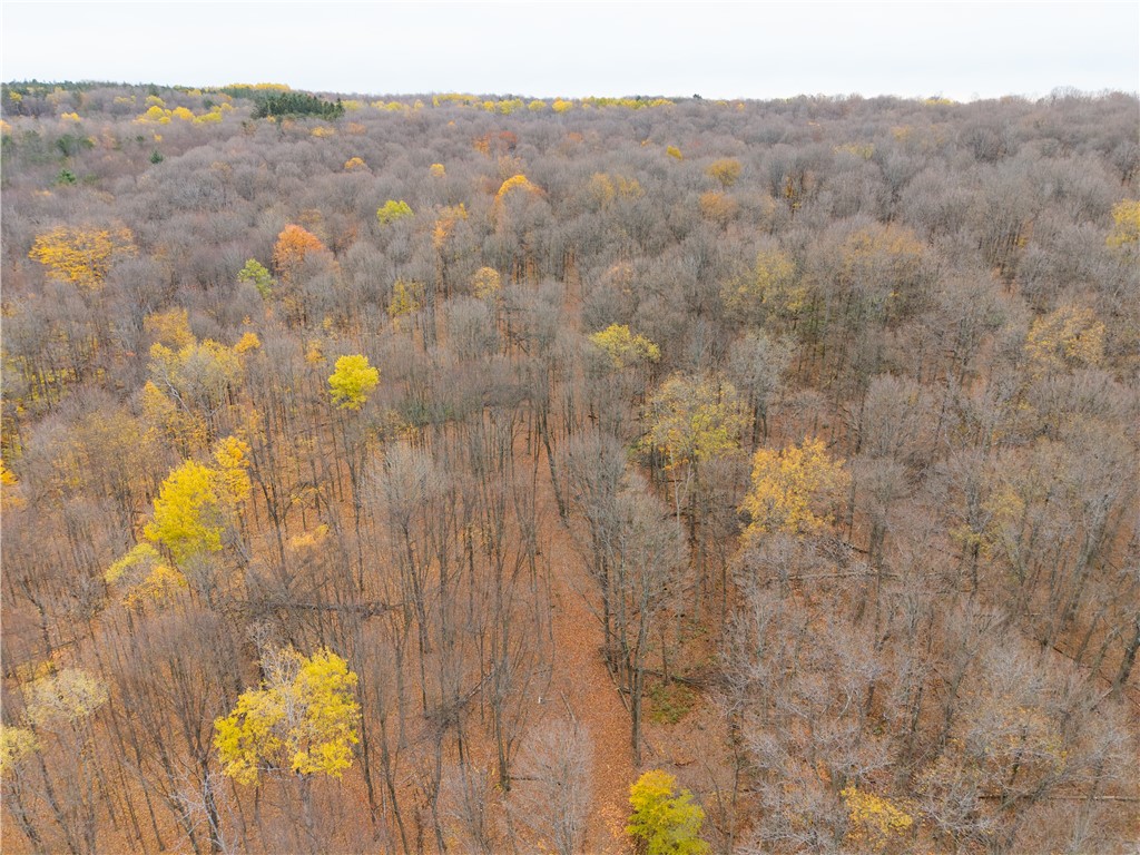 7753 Canadice Road Springwater, NY 14560 - Photo 40 of 44