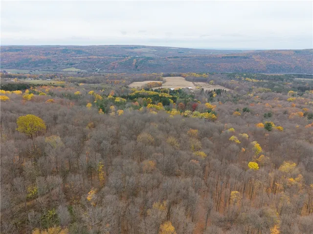 $289,900 | 7753 Canadice Road, Springwater, NY 14560