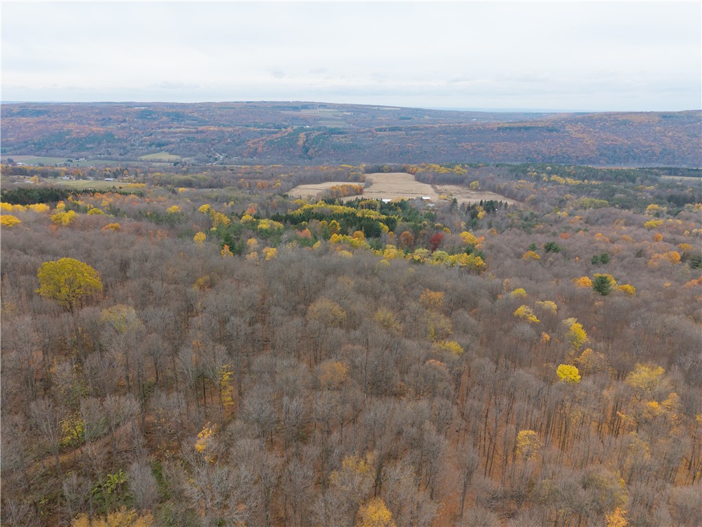 7753 Canadice Road Springwater, NY 14560 - Photo 41 of 44