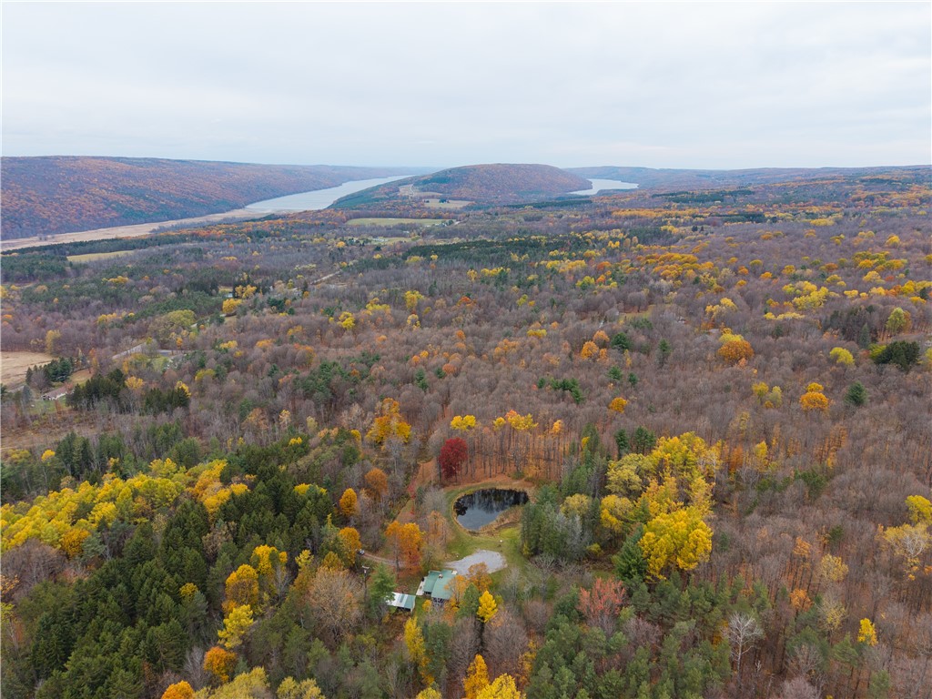 7753 Canadice Road Springwater, NY 14560 - Photo 43 of 44