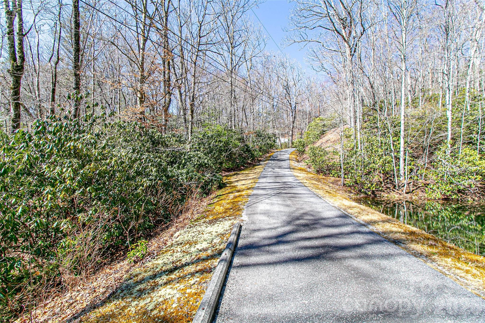 Tbd Still Branch Road, Unit L20 Brevard, NC 28712 - Photo 24 of 26