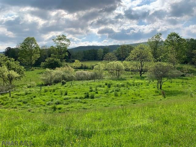 4129 Milligans Cove Road Manns Choice, PA 15550 - Photo 35 of 42 Gallery Image 35