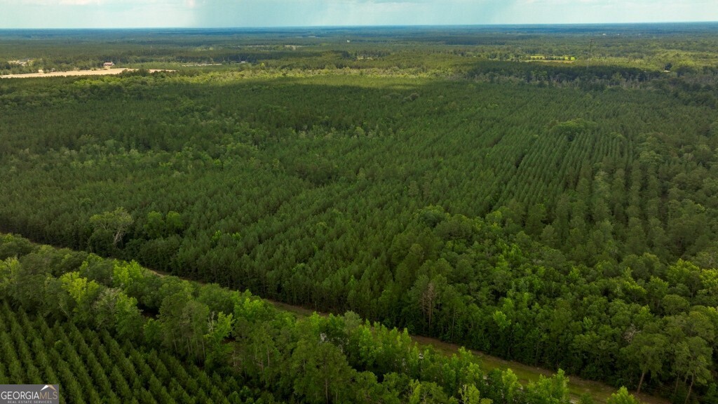 0 Highway 204 & Carlos Cowart Road Pembroke, GA 31321 - Photo 6 of 47