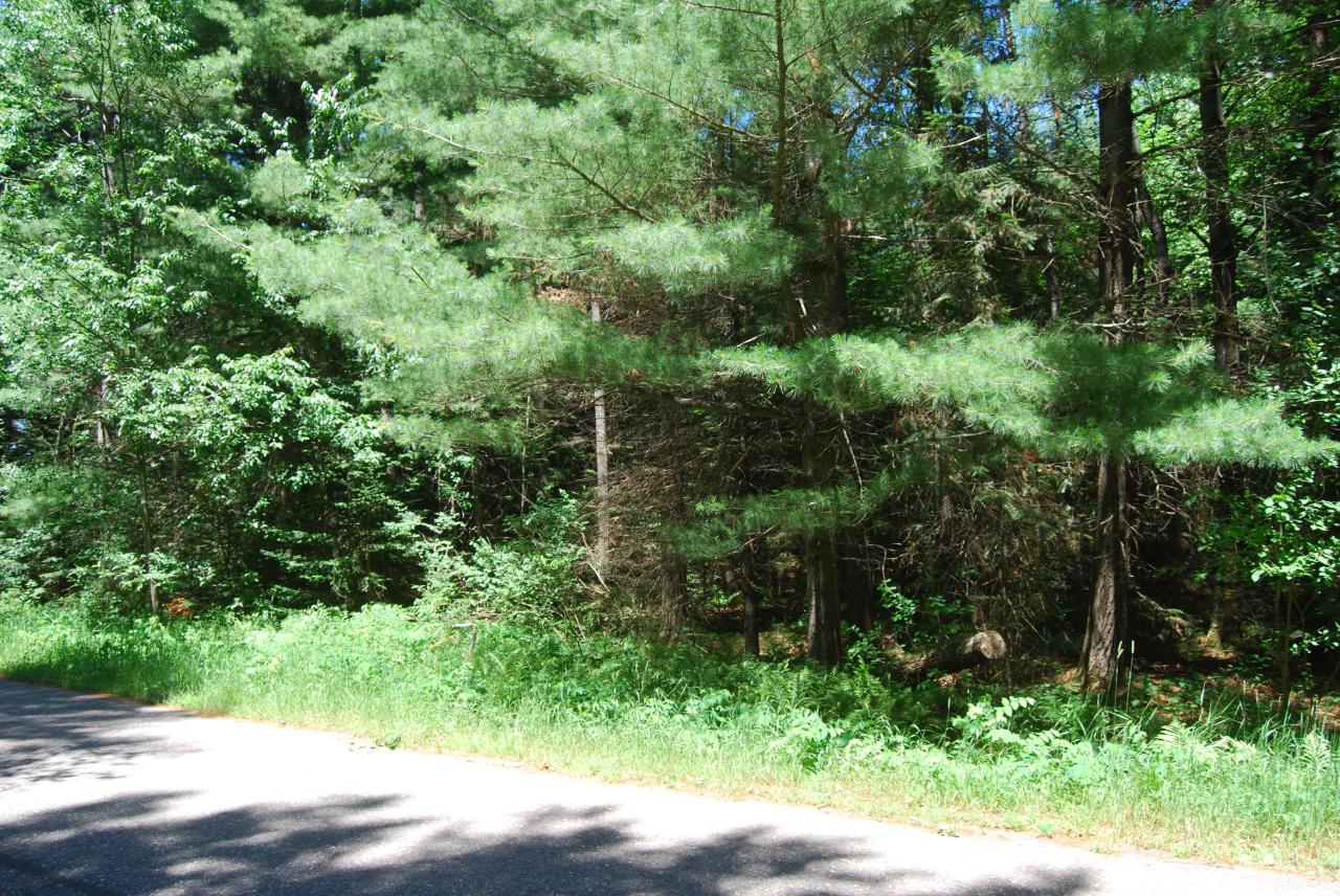 Lot 7 Timber Lodge Rd Crescent Rhinelander, WI 54501 - Photo 1 of 3 Gallery Image 1