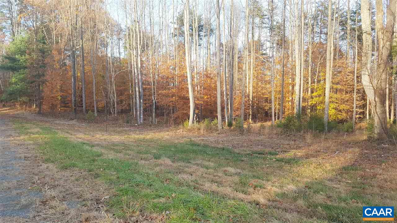 5 Toms Road Ruckersville, VA 22968 - Photo 1 of 3 Gallery Image 1