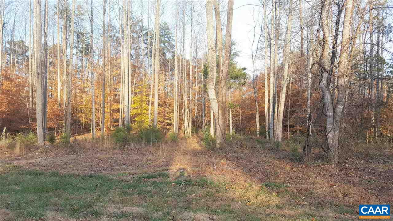 5 Toms Road Ruckersville, VA 22968 - Photo 2 of 3 Gallery Image 2