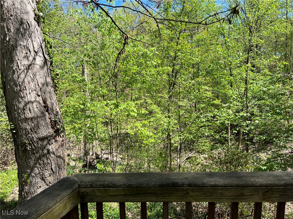16215 Oakhill Road Cleveland, OH 44112 - Photo 6 of 41 View of deep ravined back yard from deck