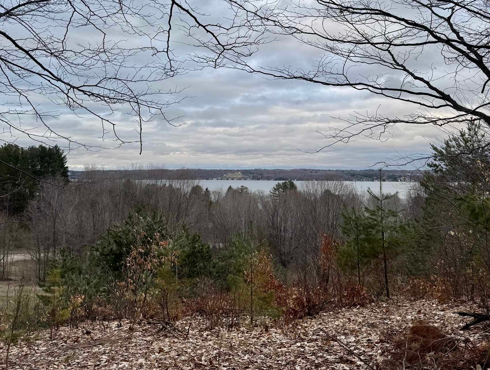 0 East Hidden Beach Road Cedar, MI 49621 - Photo 6 of 10