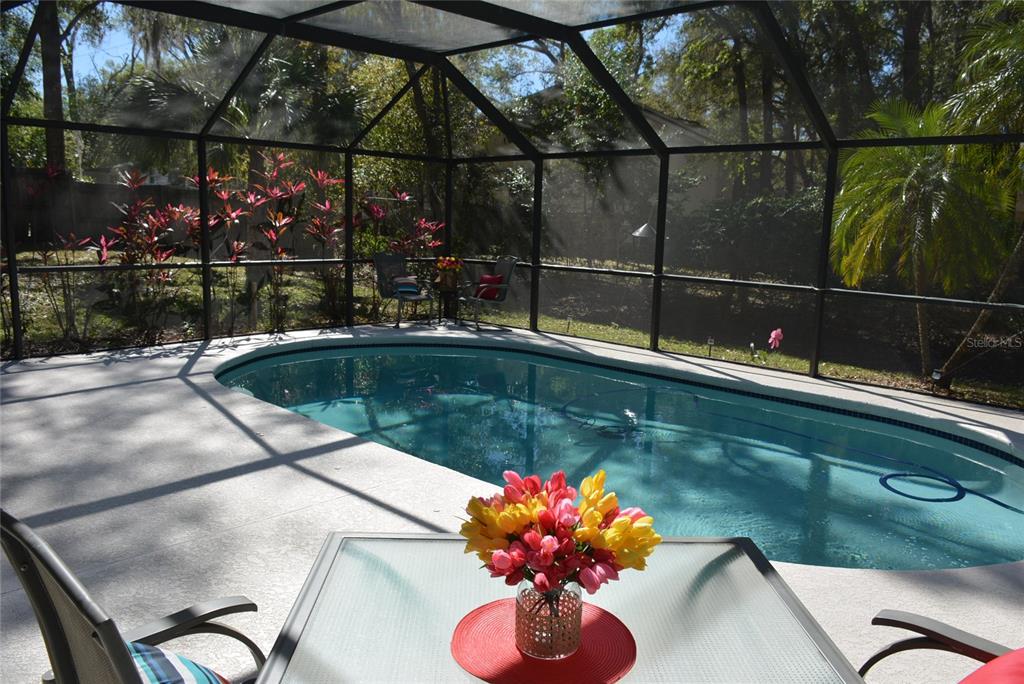 308 Tangerine Street Altamonte Springs, FL 32701 - Photo 44 of 58 Enjoy relaxing by the pool