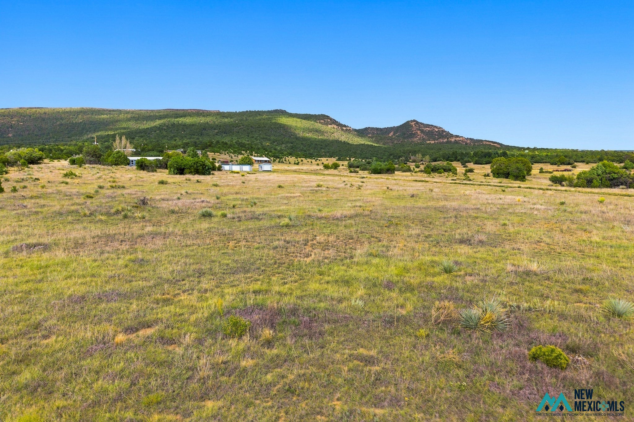 28 Private Black Mesa Road Raton, NM 87740 - Photo 7 of 36 Gallery Image 7