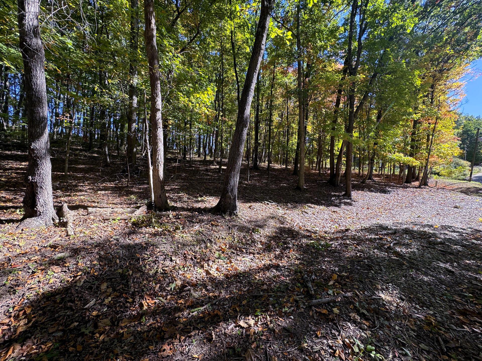 0 Easterday Road, Unit TRACT 8 AT EASTERDAY WOODS) Chillicothe, OH 45601 - Photo 20 of 24 CT-20