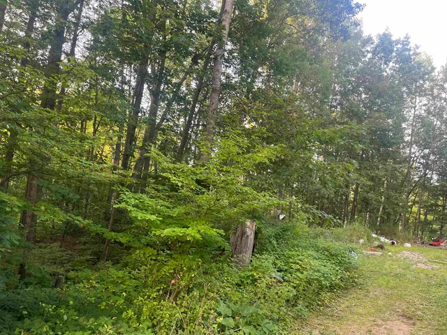 $49,900 | 3083 Sandalwood Road, Abrams, WI 54101