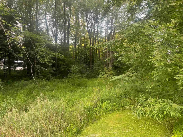 $49,900 | 3083 Sandalwood Road, Abrams, WI 54101