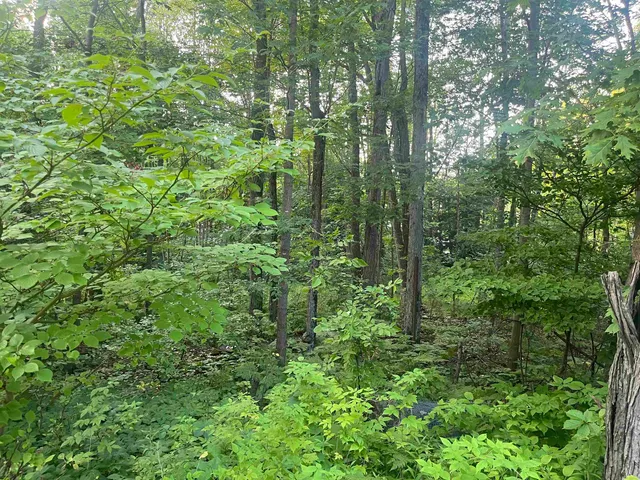 $49,900 | 3083 Sandalwood Road, Abrams, WI 54101