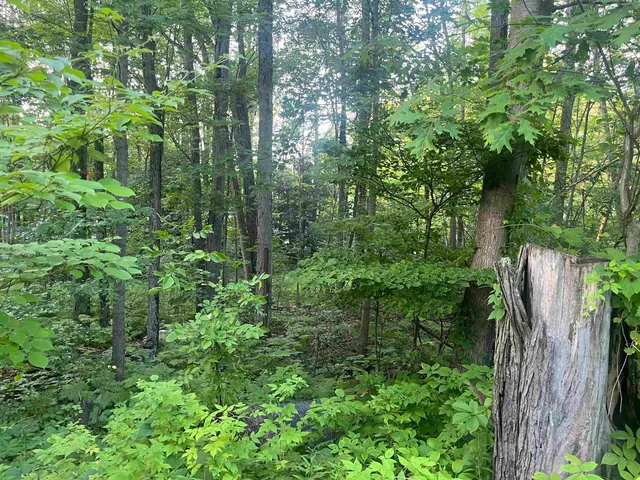 $49,900 | 3083 Sandalwood Road, Abrams, WI 54101