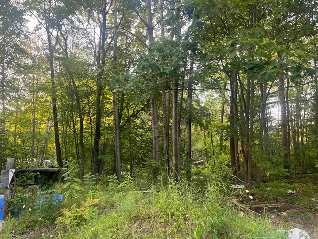 $49,900 | 3083 Sandalwood Road, Abrams, WI 54101