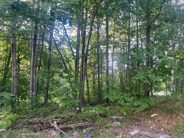 $49,900 | 3083 Sandalwood Road, Abrams, WI 54101