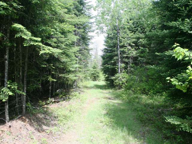 On Foster Lane Rhinelander, WI 54501 - Photo 6 of 10 Gallery Image 6
