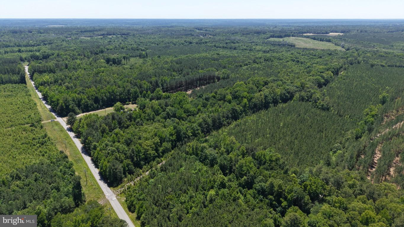 0 Freemans Cross Road Freeman, VA 23856 - Photo 11 of 36