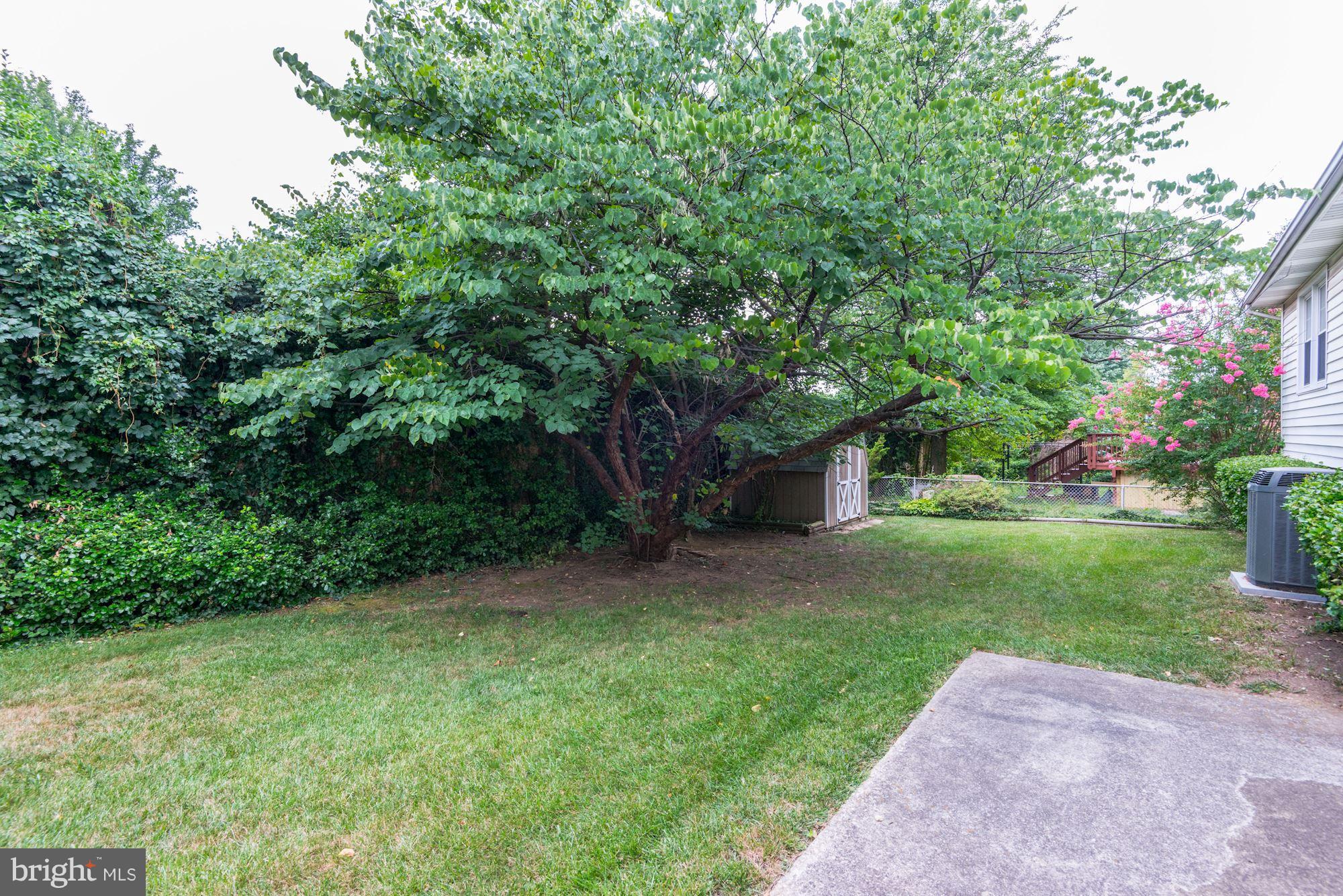 2124 Coleridge Drive Silver Spring, MD 20910 - Photo 17 of 18 Nice Backyard with Shed
