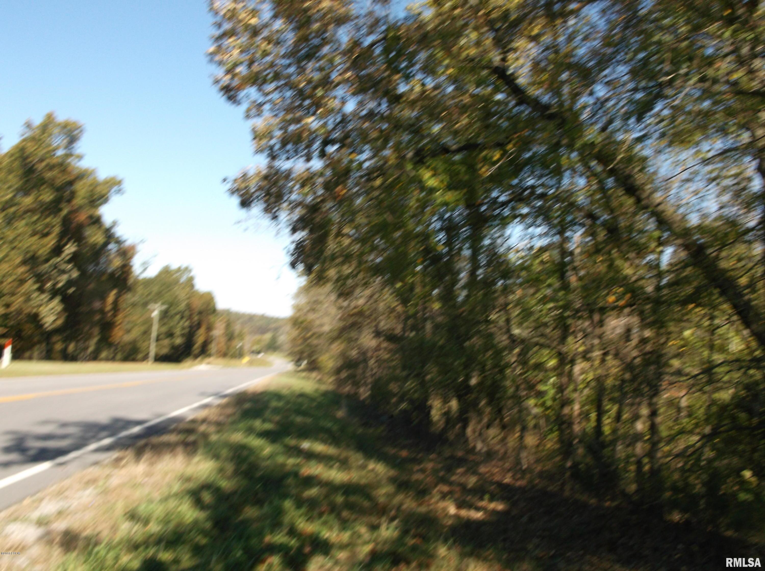 1 Highway 1 Cave In Rock, IL 62919 - Photo 5 of 6