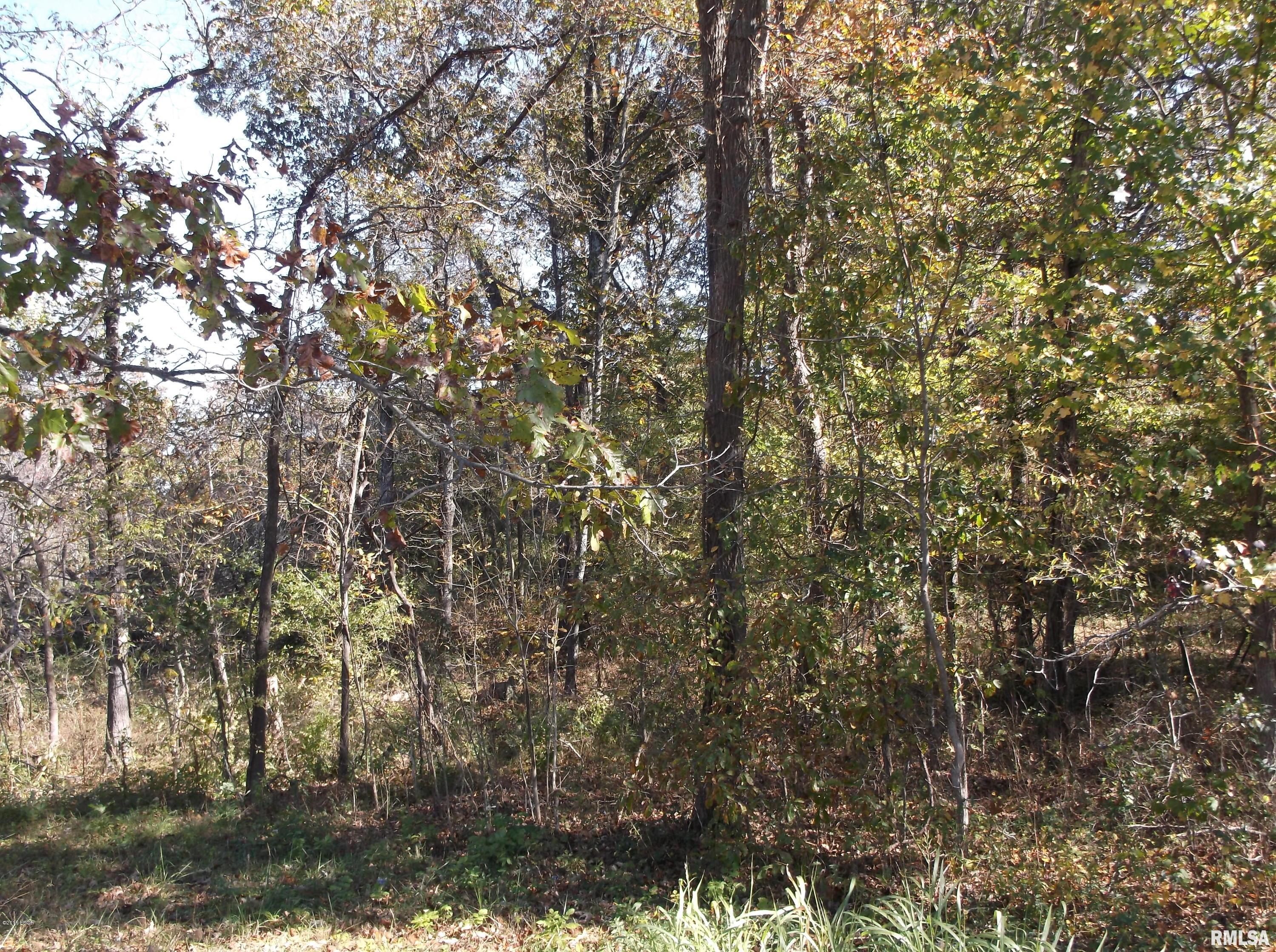 1 Highway 1 Cave In Rock, IL 62919 - Photo 6 of 6
