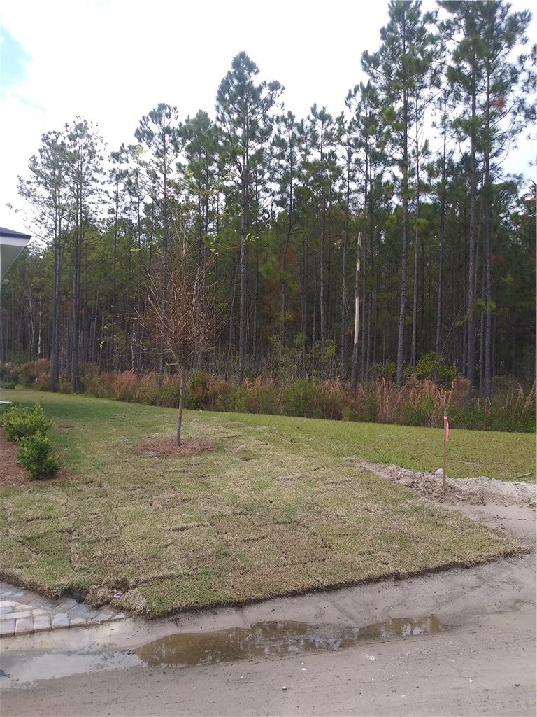 215 Morning Ray Way Yulee, FL 32097 - Photo 3 of 5 Gallery Image 3