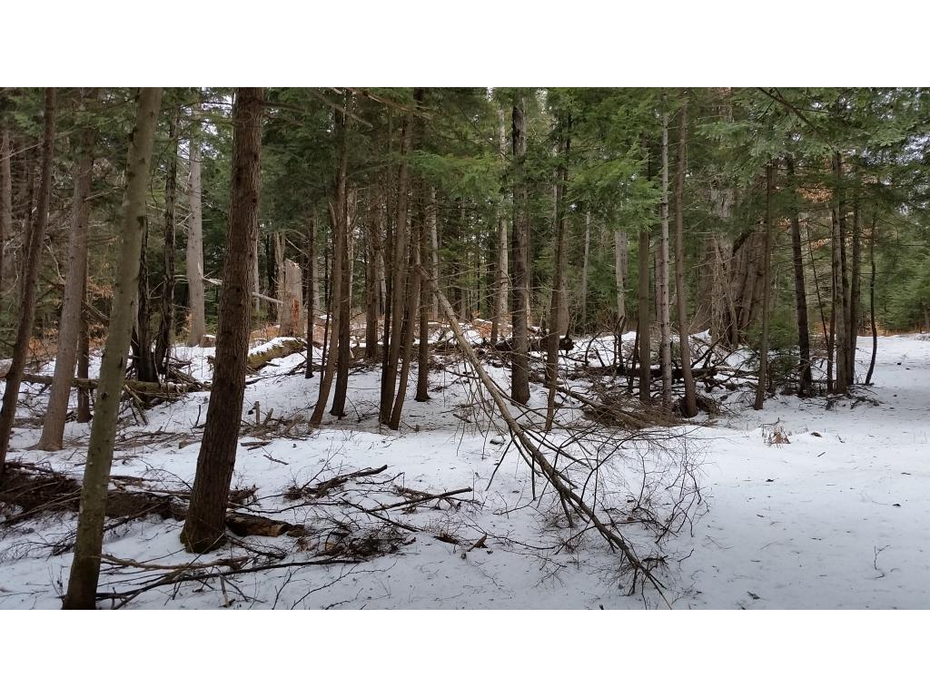 714 Chapel Hill Road Whitingham, VT 05361 - Photo 14 of 23
