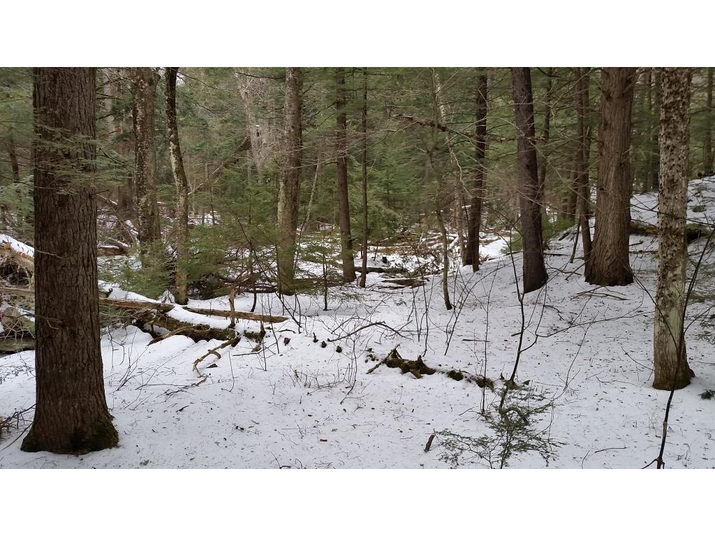 714 Chapel Hill Road Whitingham, VT 05361 - Photo 22 of 23