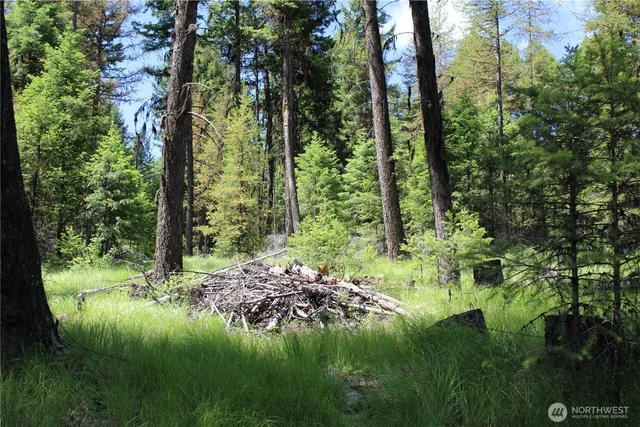 a view of a lake view with a garden