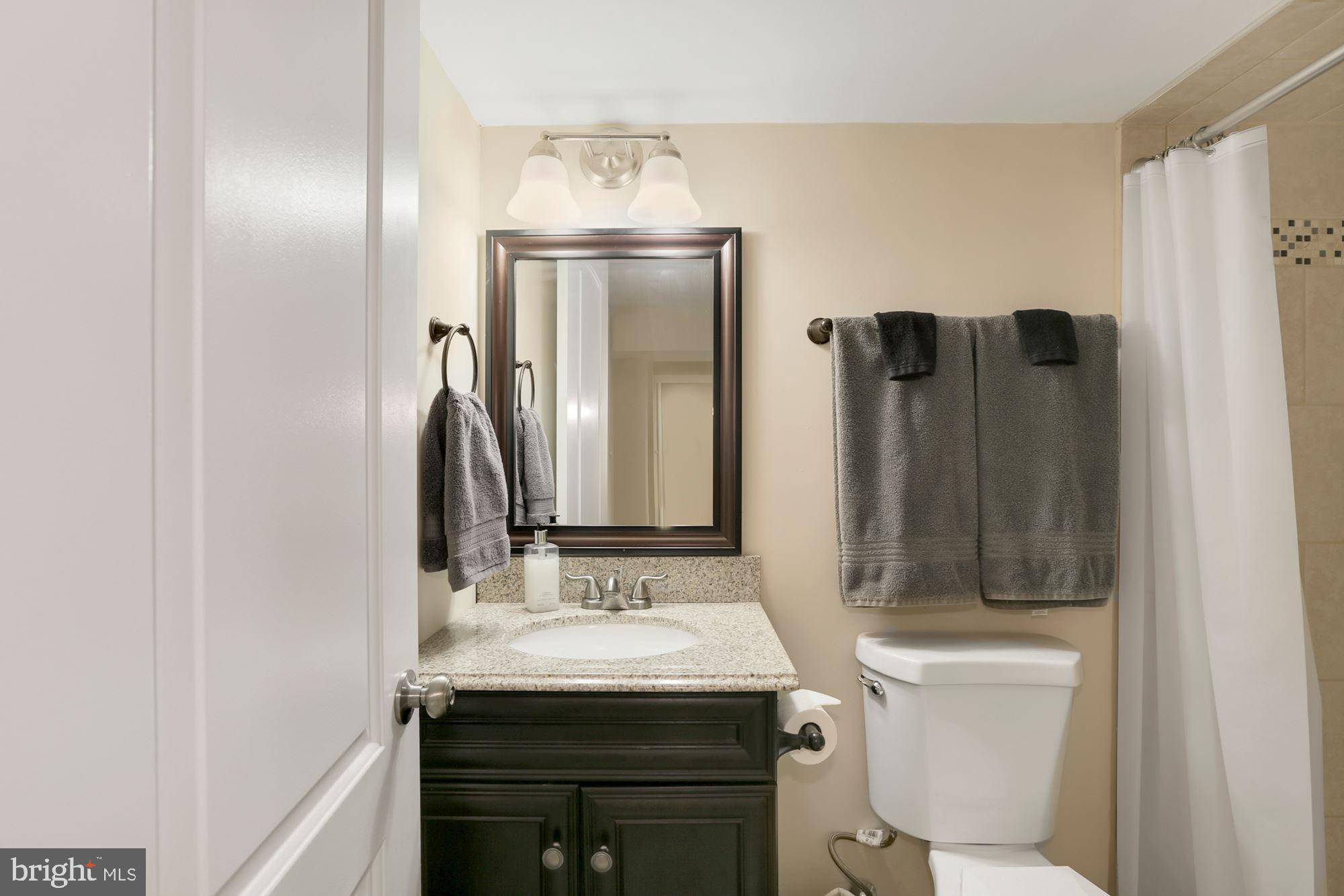 10211 Carson Place Silver Spring, MD 20901 - Photo 17 of 33 Lower level full bath