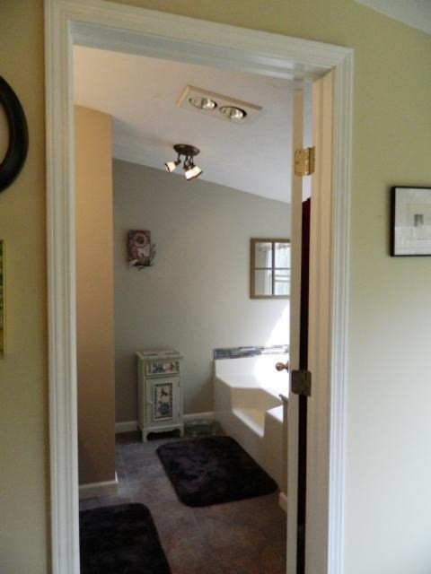 5896 Snyder Road Berrien Springs, MI 49103 - Photo 36 of 56 Master BA3