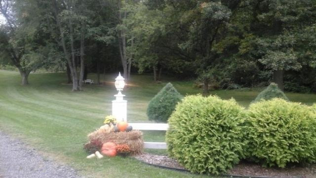 5896 Snyder Road Berrien Springs, MI 49103 - Photo 51 of 56 Welcome