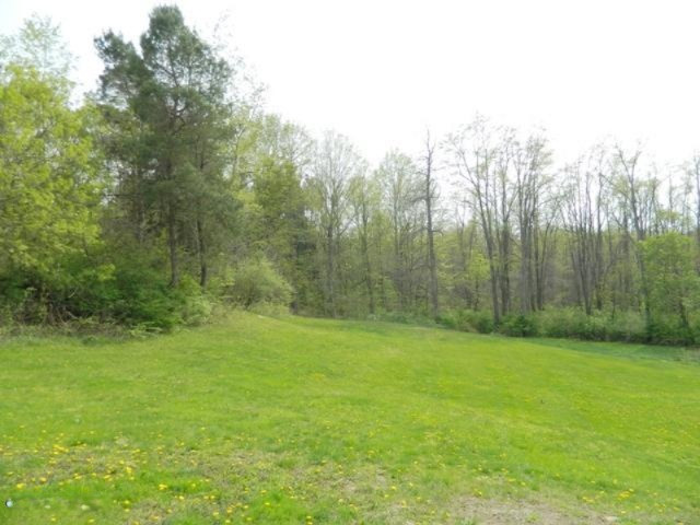 5896 Snyder Road Berrien Springs, MI 49103 - Photo 10 of 56 Back yard