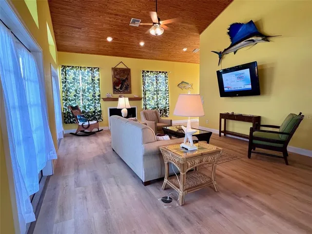 a view of a garden with plants