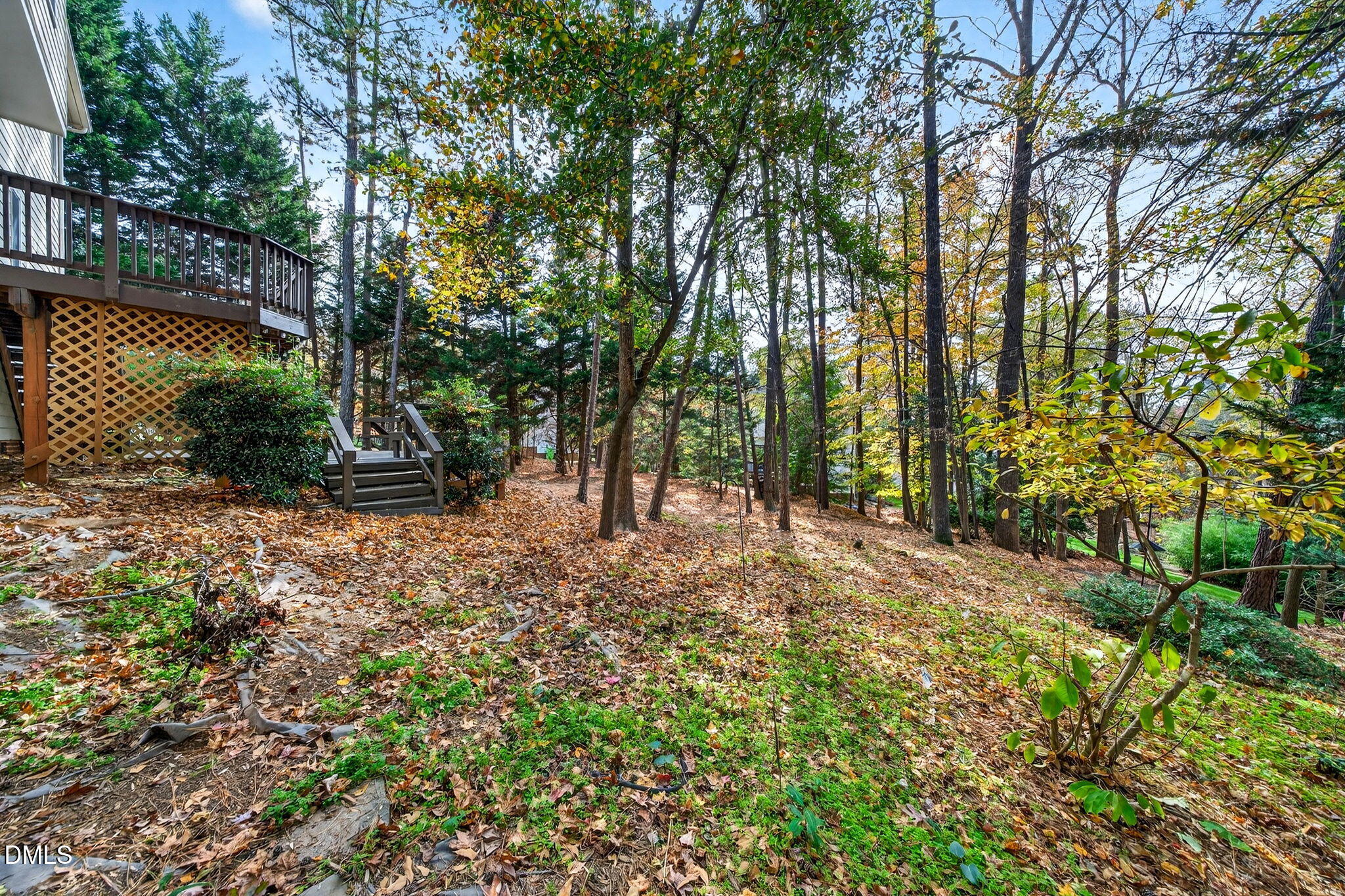 2120 Village Oaks Lane Raleigh, NC 27614 - Photo 43 of 51 63-web-or-mls-2120 Village Oaks (6 of 6