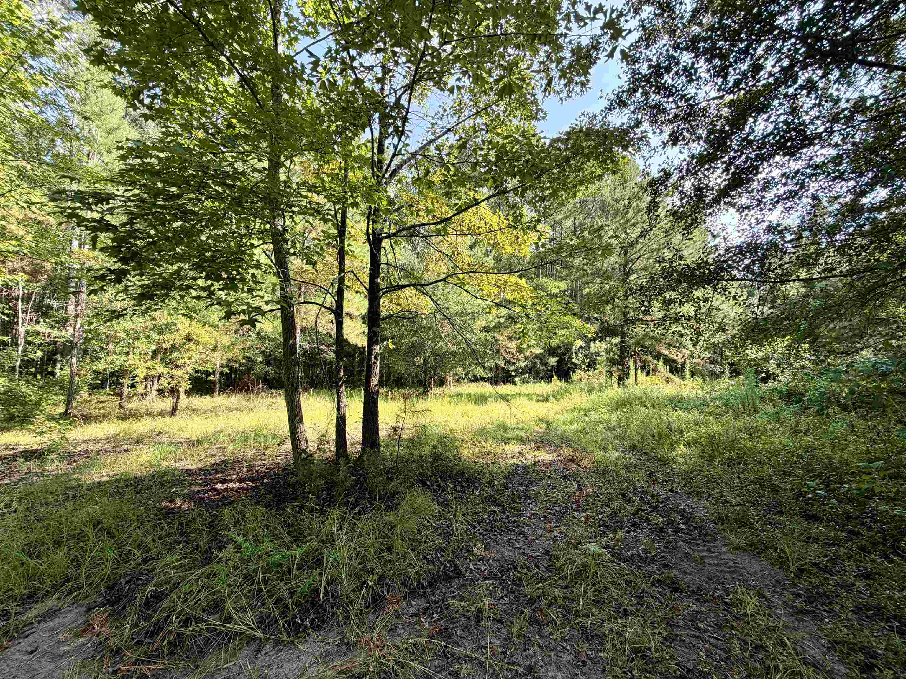 101.49-acres - Epps Road New Zion, SC 29111 - Photo 4 of 24