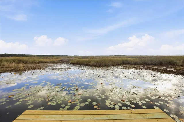 $225,000 | 23422 Northeast 154th Place Road, Salt Springs, FL 32134