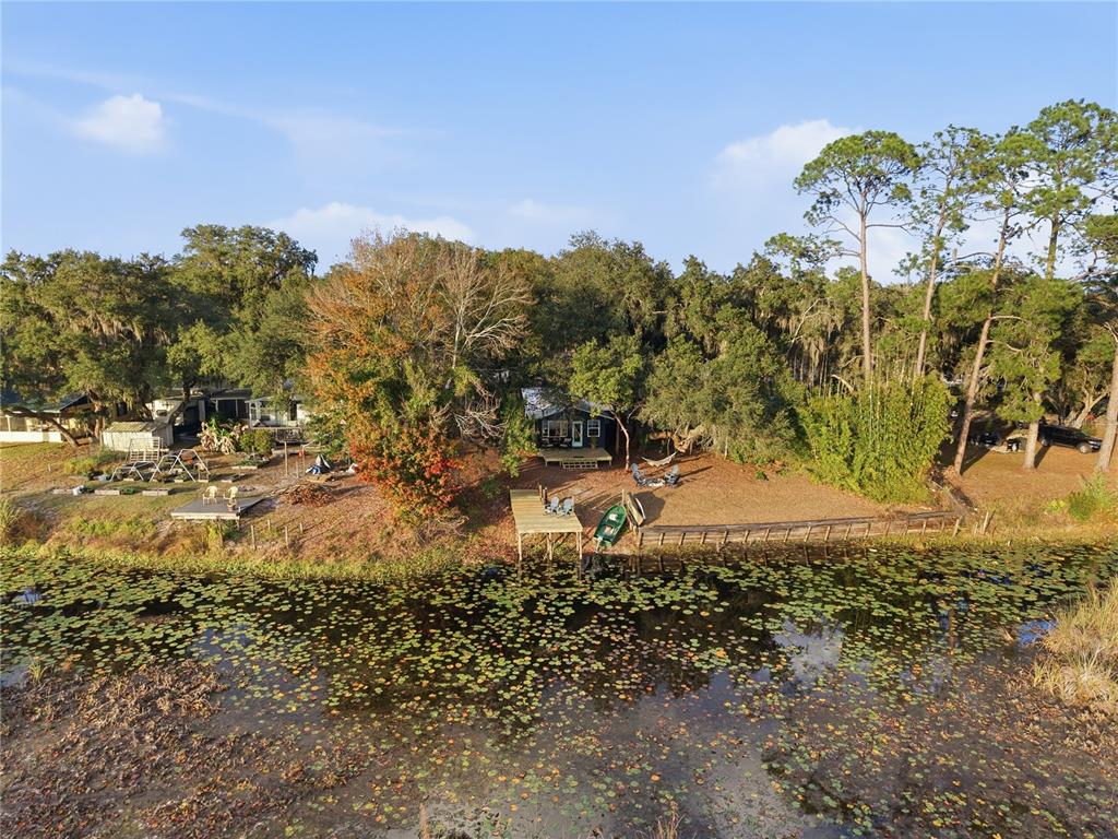 23422 Northeast 154th Place Road Salt Springs, FL 32134 - Photo 23 of 29 a view of a yard with a tree