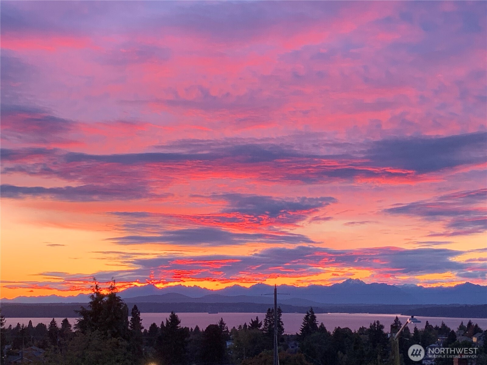 5958 35th Avenue Southwest Seattle, WA 98126 - Photo 26 of 29