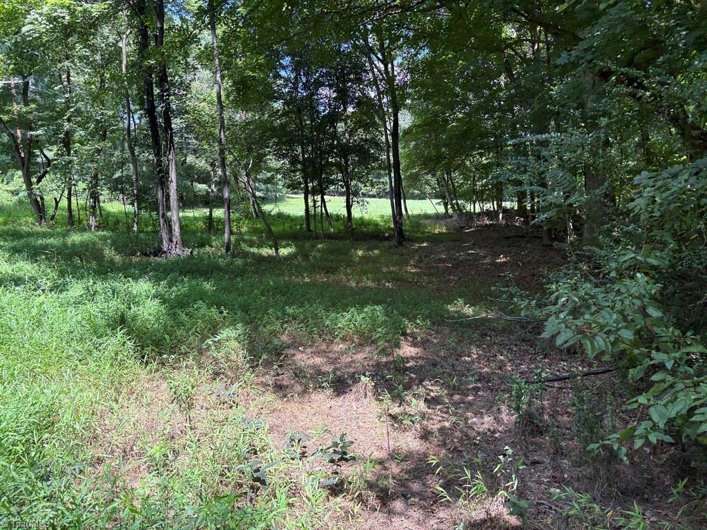 3518 Oneida Road Greensboro, NC 27410 - Photo 10 of 18 Gallery Image 10