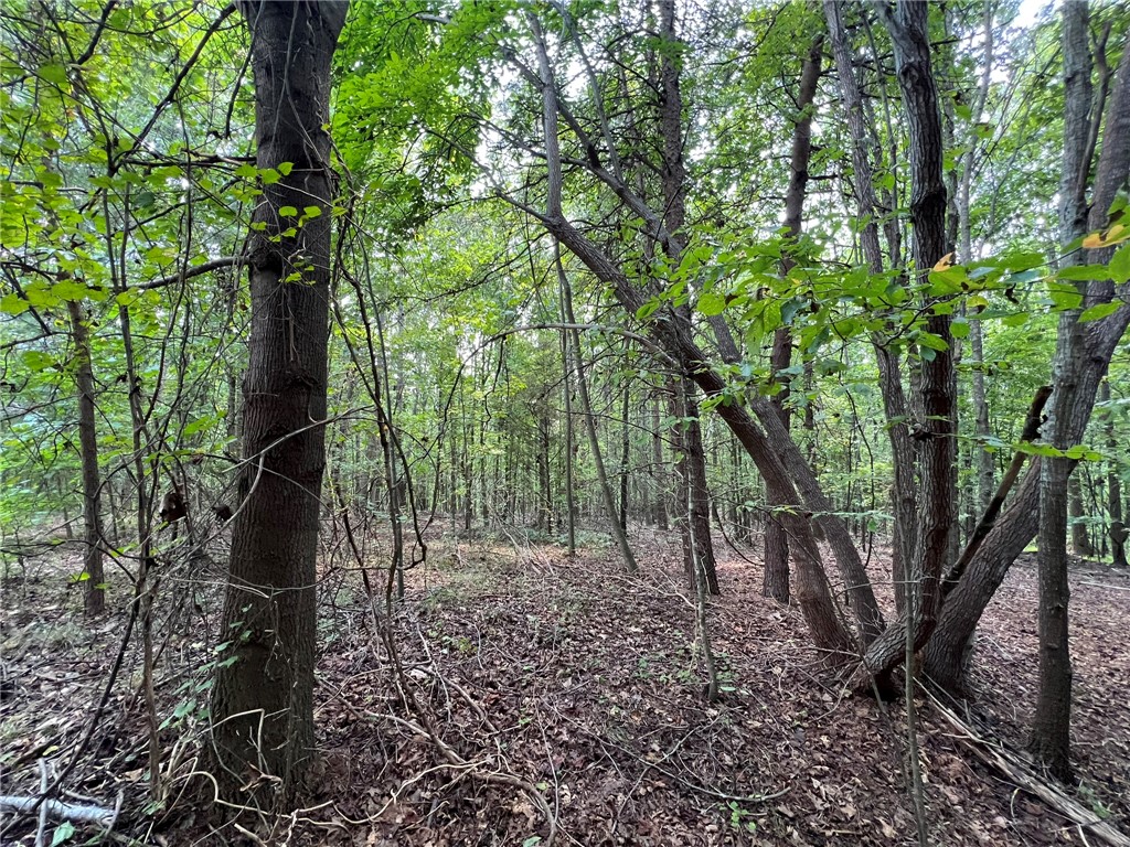 0 Rock Hill Road Fair Play, SC 29643 - Photo 12 of 17