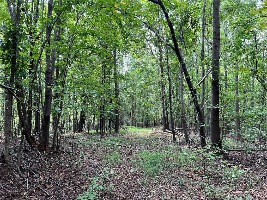 0 Rock Hill Road Fair Play, SC 29643 - Photo 13 of 17