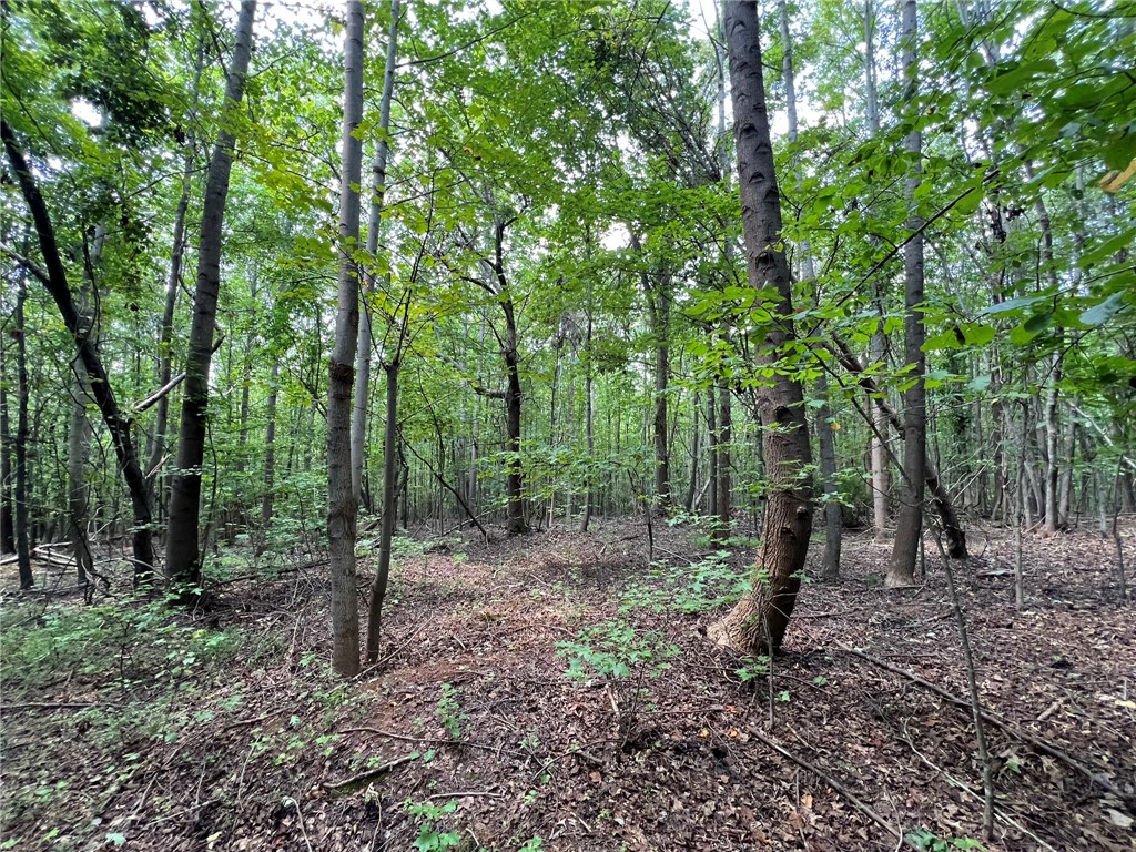 0 Rock Hill Road Fair Play, SC 29643 - Photo 14 of 17