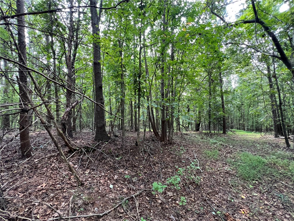 0 Rock Hill Road Fair Play, SC 29643 - Photo 15 of 17