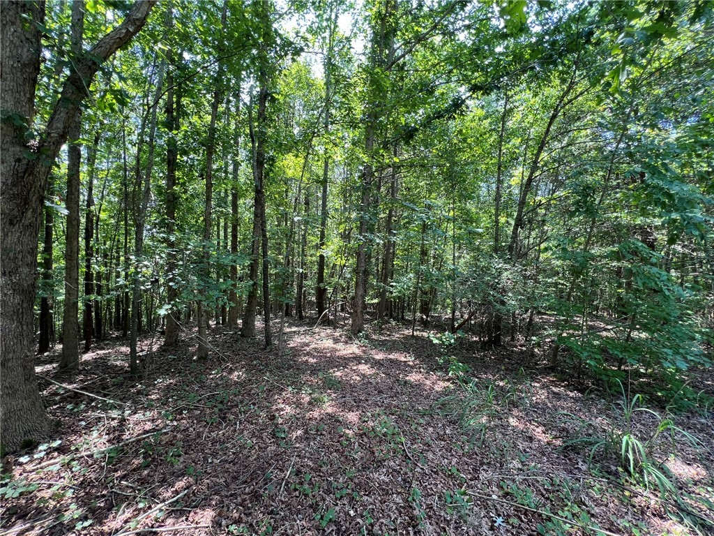 0 Rock Hill Road Fair Play, SC 29643 - Photo 17 of 17