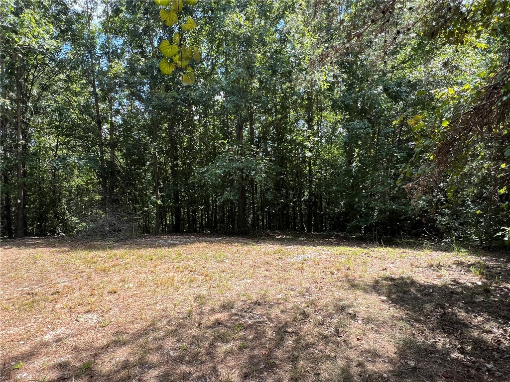 0 Rock Hill Road Fair Play, SC 29643 - Photo 8 of 17